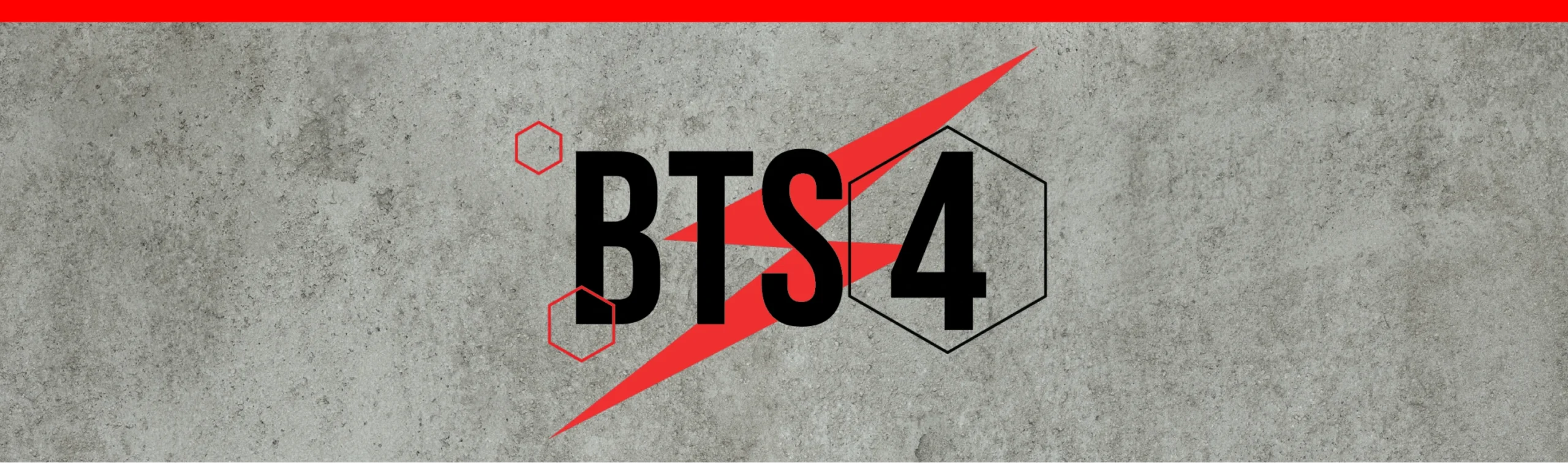 BTS4 Logo